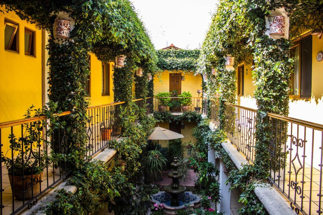 Hotel Dainzu Oaxaca ภายนอก รูปภาพ