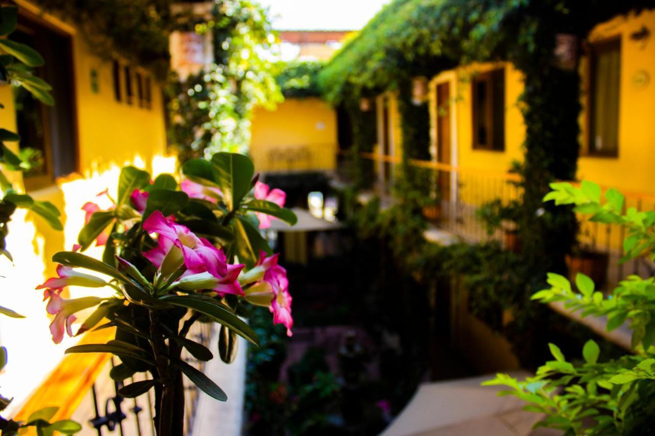 Hotel Dainzu Oaxaca ภายนอก รูปภาพ